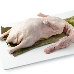 Premium Frozen Whole Duck Export Grade Bulk Supply with Health Certificate