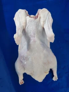 Premium Frozen Whole Duck Fresh Frozen Clean Processed for Export Quality