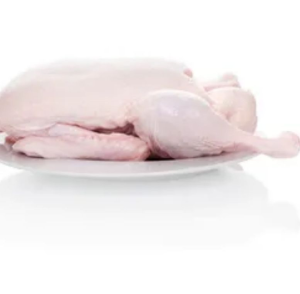 Premium Frozen Whole Duck Fresh Tender Poultry Meat