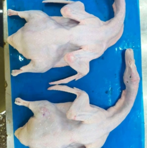 Premium Frozen Whole Duck Halal Certified