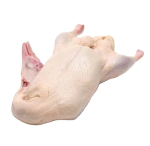 Premium Frozen Whole Duck with Halal Certification for Global Export Markets