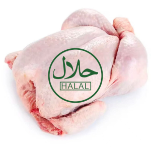 Premium Grade A Frozen Chicken All Year Round Poultry Meat
