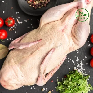 Premium Grade A Frozen Whole Duck Halal Certified