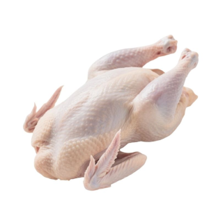 Premium Grade Fresh Frozen Chicken Whole Chicken Halal
