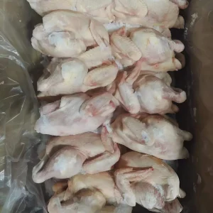 Premium Grade a Frozen Whole Chicken Plastic Wrapped for Freshness