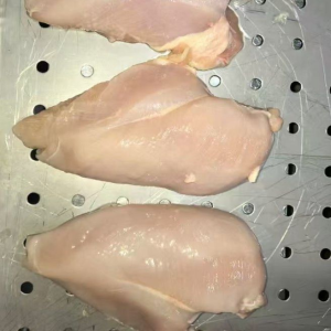 Premium Halal Frozen Chicken Breast Boneless Competitive Price Worldwide Supply