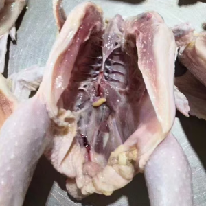 Premium Halal Frozen Chicken Certified Sanitary Quality