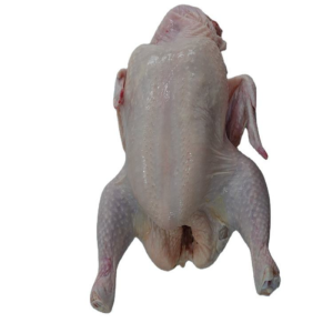 Premium Halal Frozen Chicken Parts Certified Quality Assurance