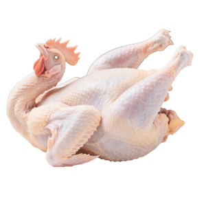 Premium Halal Frozen Chicken with Quality Assurance Guarantee