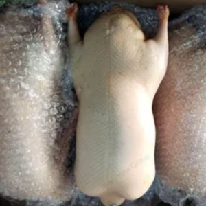 Premium Halal Frozen Whole Duck for Delicious Meals