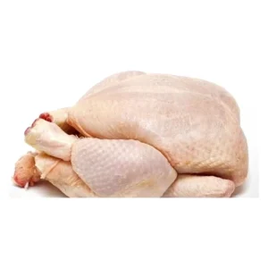 Premium High Quality Fresh Frozen Chicken Fast Delivery Low Price Bulk Packed for Sale
