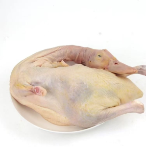 Premium Low Fat Grade a Frozen Whole Duck Meat Poultry Bag Packaging