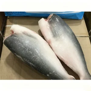 Premium Pangasius Hypophthalmus Frozen HGT Fish WR Headed Gutted Direct Factory