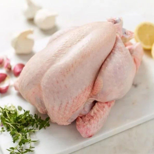 Premium Quality Frozen Chicken Frozen Whole Chicken