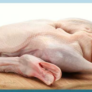 Premium Quality Frozen Whole Duck China Manufacturer Offers