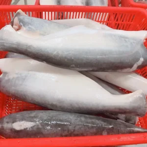 Premium Seafood Frozen Pangasius HGT V Cut Pangasius