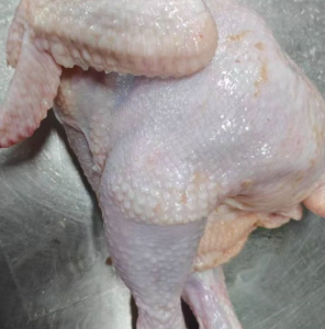 Premium Seasonal Whole Chicken Bulk Pack Frozen & Trimmed