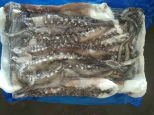 Premium Strong Squid Head with High Quality Logistics and Competitive Prices