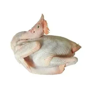 Premium Whole Fresh Frozen Chicken for Catering Service