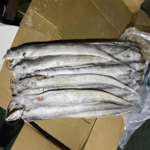 Price Hairtail Fish Land Frozen Ribbon Fish