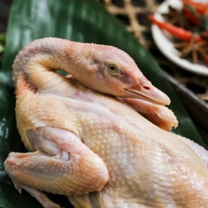 Quality Assurance Frozen Whole Duck with Good Price
