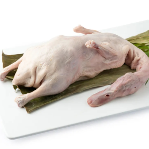 Quality Frozen Ducks for Sale Whole IQF Peking Duck