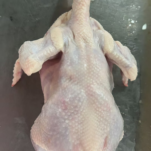 Quality Halal Frozen Whole Chicken for Sale