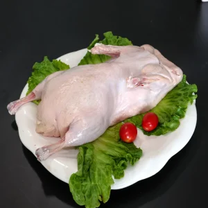 Quick-Frozen White Striped Suit Duck for Export Hotel Restaurant