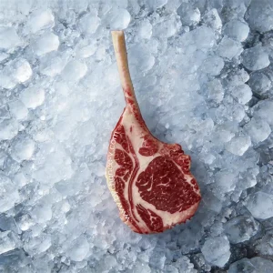 Realistic Wagyu Beef Tendon Sample Hospitality Staff Buffet Presentation Chef Demo Tool Food Menu Design Showroom Decoration