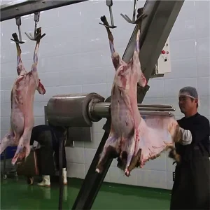 Ritual Goat Slaughtering Equipment For Lamb Butcher Abattoir Meat Process Line