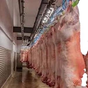 Ritual Ram Abattoir Equipment for Lamb Slaughter House Meat Process Butchery Conveyor