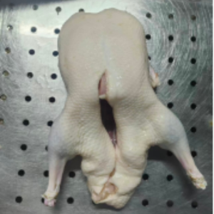 Selected Frozen Whole Duck Cooking Is More Convenient