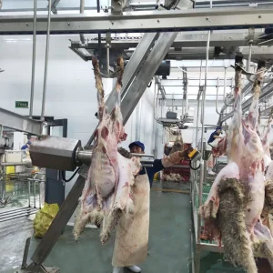 Sheep Slaughterhouse Abattoir Equipment Lamb Slaughtering Line