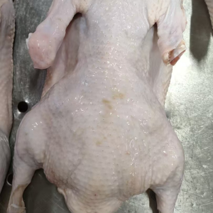 Simple Frozen Stuffed Duck