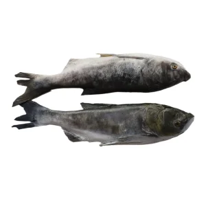 Simulated Bighead Carp Model Suitable for Seafood Displays Restaurant Ice Stands Fish Museums and Sample Collections