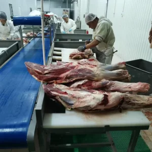Slaughter Equipment Cattle Sheep Poultry Meat Production Processing Line
