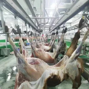 Slaughterhouse Sheep Goat Slaughter House Equipment Mutton Processing Line Sheep Slaughter Machine