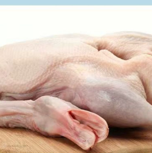 Sloping Roast Frozen Whole Duck Hong Kong Style Crispy Roast Duck Meat Fresh