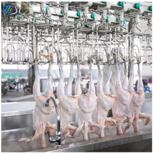 Small Chicken Slaughtering Machine Chicken Plucker 300-500BPH Poultry Slaughter Equipment Line in South Africa
