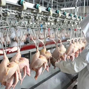 Small Equipment Chicken Slaughter Machines Chicken Processing Plant Slaughtering Equipment