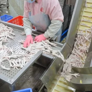Small Scale Chicken Slaughter Cleaning Feet Peeling Machine