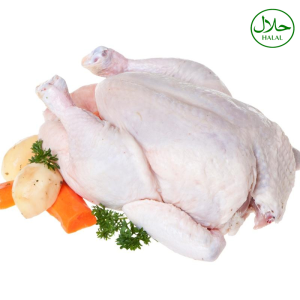 Small Size Premium Halal Frozen Whole Chicken 1200g for Tasty Grilling BBQ