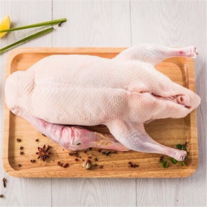 Small White Duck