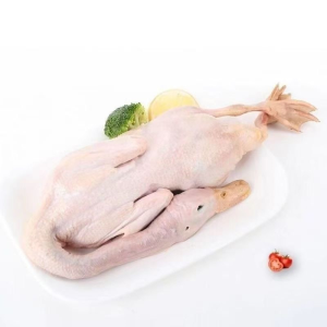 Small White Duck That Is Good for Replenishing Qi and Nourishing Blood