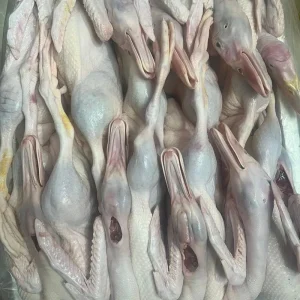 Small White Feathered Ducks for Making Guangdong Style Roasted Duck