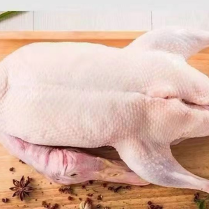 Special White Feathered Duck Specifically for Making Nanjing Specialty Dish Salted Duck