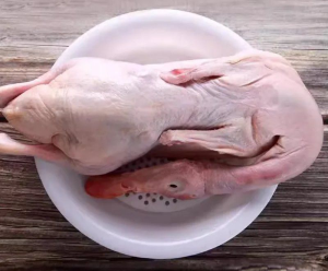 Special for Catering Chains Bulk Purchasing Frozen Whole Duck