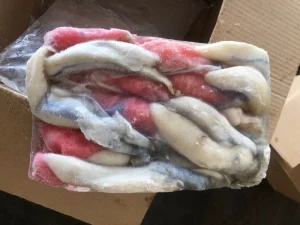 Squid Roe Mix