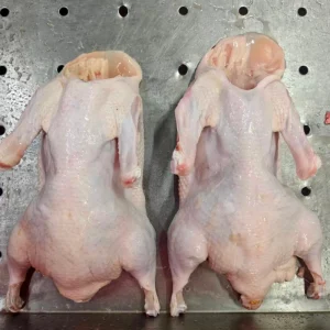 Stable Supply of Frozen Suit Ducks From Chinese Factories