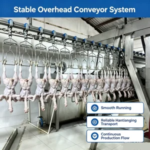 Stainless Steel Poultry Plucker Machine Chicken Duck Goose Feather Defeathering Machine for Farm